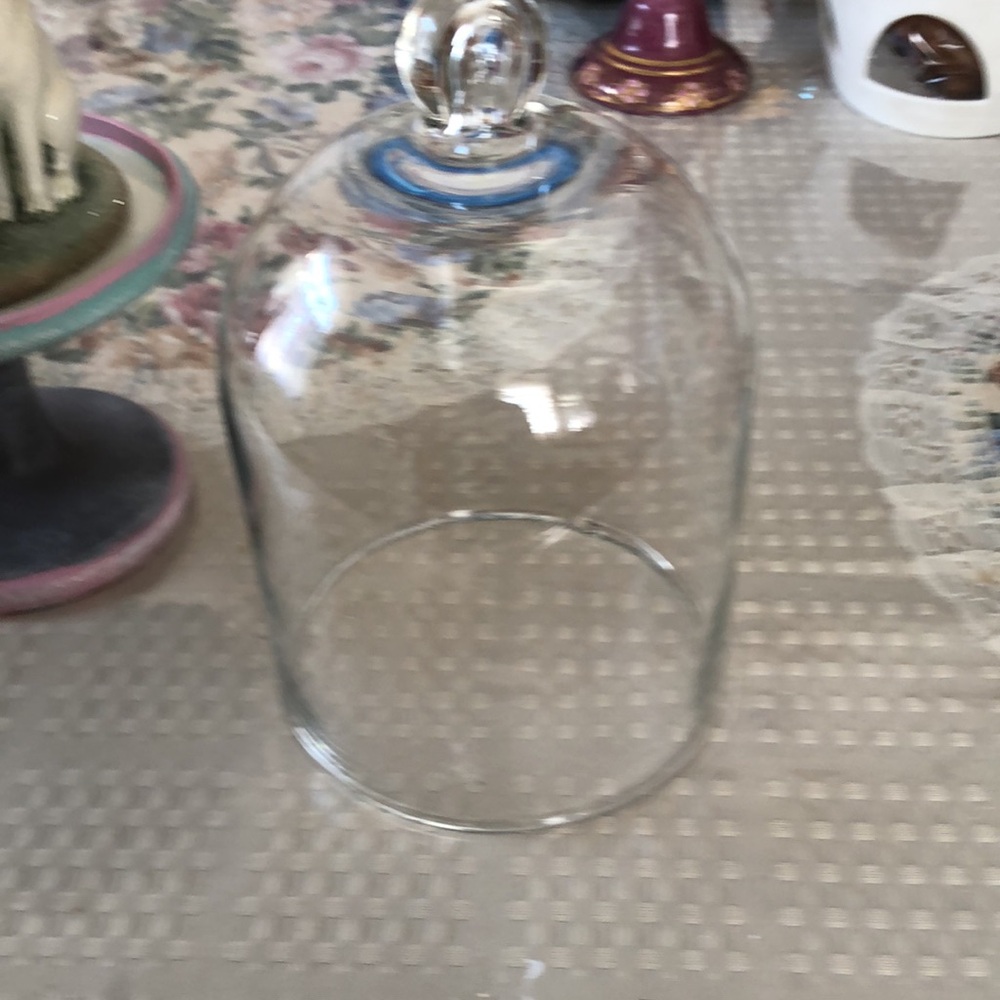 Nice eater domed  bunny and glad enclosure. Nice Easter decor. ❤️🌹🌹 - Picture 2 of 5
